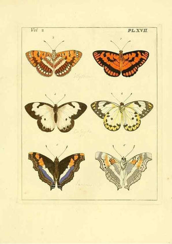 Reproducción/Reproduction 35564800293: Illustrations of natural history.. London,Printed for the author and sold by B. White,1770-82.
