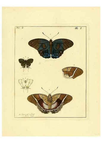 Reproducción/Reproduction 36373152275: Illustrations of natural history.. London,Printed for the author and sold by B. White,1770-82.