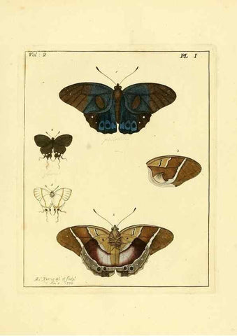 Reproducción/Reproduction 36373152275: Illustrations of natural history.. London,Printed for the author and sold by B. White,1770-82.