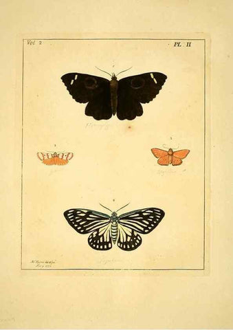 Reproducción/Reproduction 36373154765: Illustrations of natural history.. London,Printed for the author and sold by B. White,1770-82.