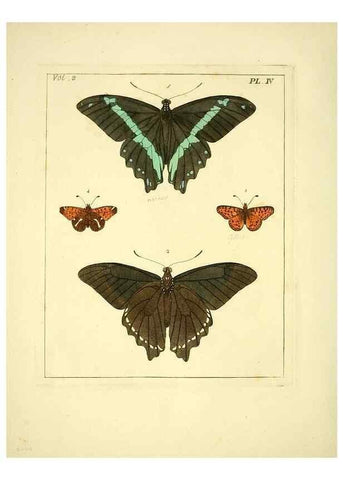 Reproducción/Reproduction 36236401411: Illustrations of natural history.. London,Printed for the author and sold by B. White,1770-82.