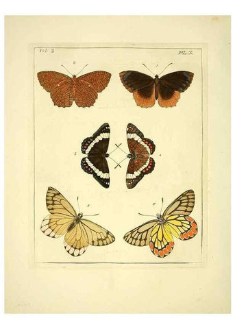 Reproducción/Reproduction 35564789673: Illustrations of natural history.. London,Printed for the author and sold by B. White,1770-82.