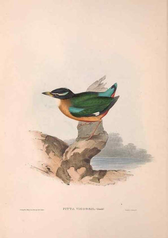 Reproducción/Reproduction 36555867970: The birds of Australia.. London,Printed by R. and J. E. Taylor; pub. by the author,[1840]-48.