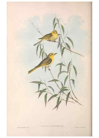 Reproducción/Reproduction 36781040092: The birds of Australia.. London,Printed by R. and J. E. Taylor; pub. by the author,[1840]-48.