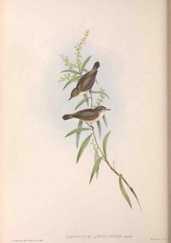 Reproducción/Reproduction 36117079194: The birds of Australia.. London,Printed by R. and J. E. Taylor; pub. by the author,[1840]-48.
