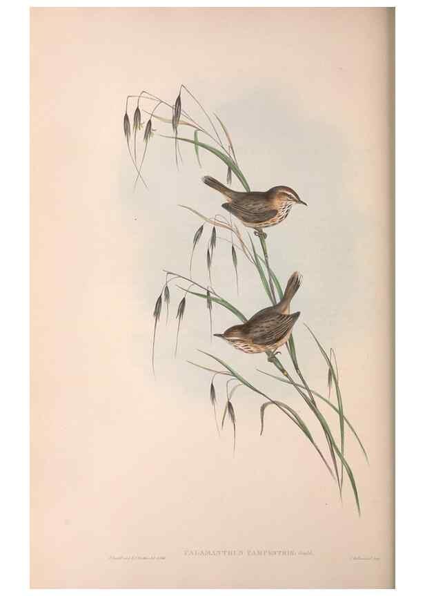 Reproducción/Reproduction 36812295151: The birds of Australia.. London,Printed by R. and J. E. Taylor; pub. by the author,[1840]-48.