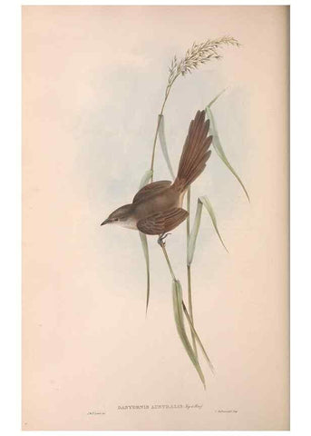 Reproducción/Reproduction 36764241846: The birds of Australia.. London,Printed by R. and J. E. Taylor; pub. by the author,[1840]-48.
