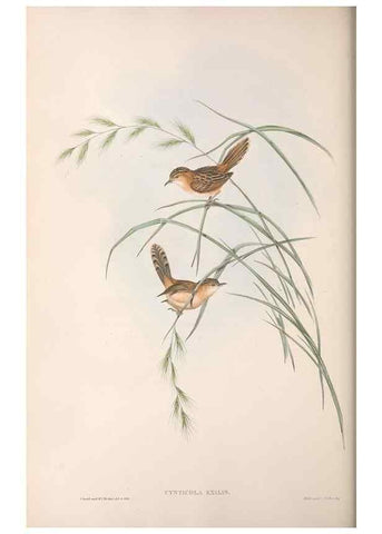 Reproducción/Reproduction 36812240351: The birds of Australia.. London,Printed by R. and J. E. Taylor; pub. by the author,[1840]-48.