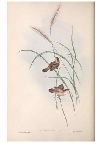 Reproducción/Reproduction 36812243441: The birds of Australia.. London,Printed by R. and J. E. Taylor; pub. by the author,[1840]-48.