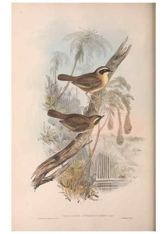 Reproducción/Reproduction 36951900645: The birds of Australia.. London,Printed by R. and J. E. Taylor; pub. by the author,[1840]-48.