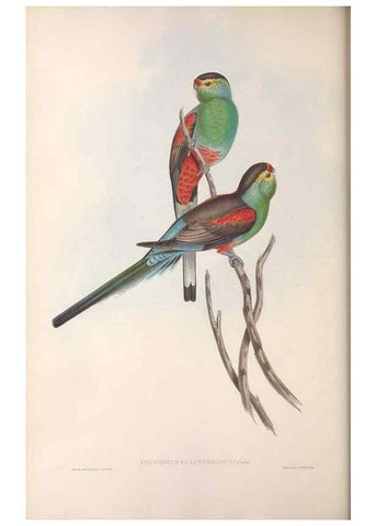 Reproducción/Reproduction 36764779226: The birds of Australia.. London,Printed by R. and J. E. Taylor; pub. by the author,[1840]-48.
