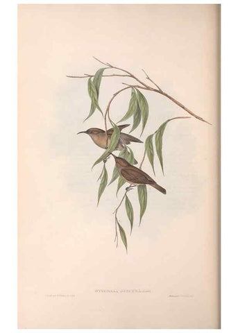 Reproducción/Reproduction 36555979020: The birds of Australia.. London,Printed by R. and J. E. Taylor; pub. by the author,[1840]-48.