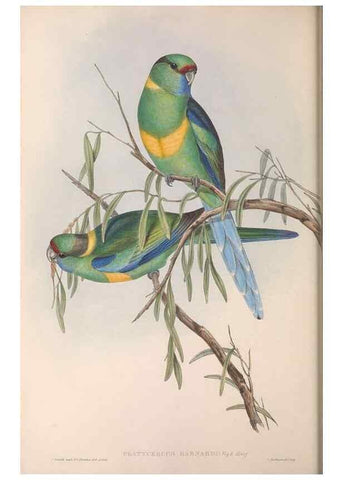Reproducción/Reproduction 36812741821: The birds of Australia.. London,Printed by R. and J. E. Taylor; pub. by the author,[1840]-48.