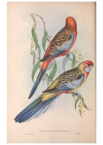 Reproducción/Reproduction 36812744211: The birds of Australia.. London,Printed by R. and J. E. Taylor; pub. by the author,[1840]-48.