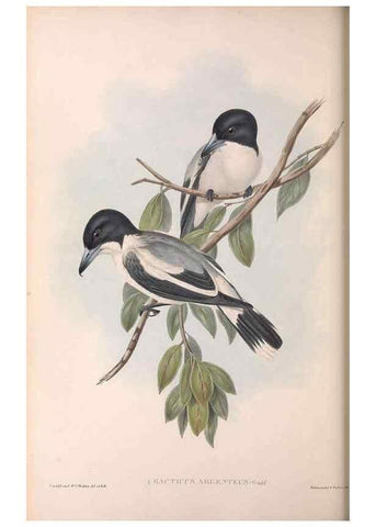 Reproducción/Reproduction 36780437982: The birds of Australia.. London,Printed by R. and J. E. Taylor; pub. by the author,[1840]-48.