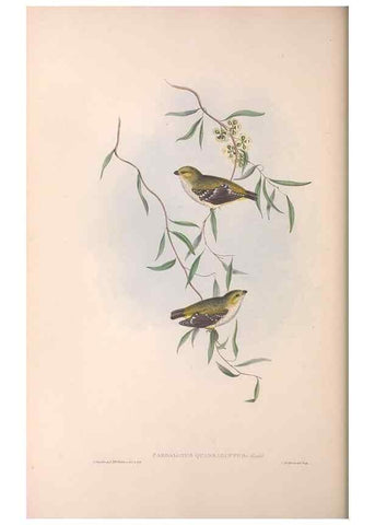 Reproducción/Reproduction 36811861381: The birds of Australia.. London,Printed by R. and J. E. Taylor; pub. by the author,[1840]-48.