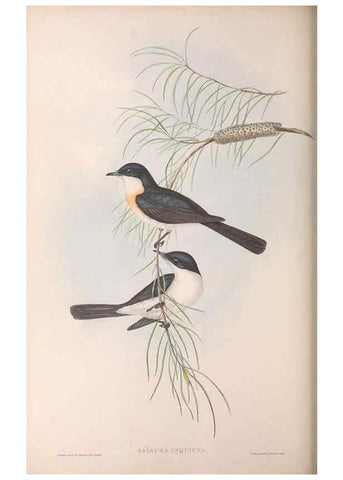 Reproducción/Reproduction 36951652275: The birds of Australia.. London,Printed by R. and J. E. Taylor; pub. by the author,[1840]-48.