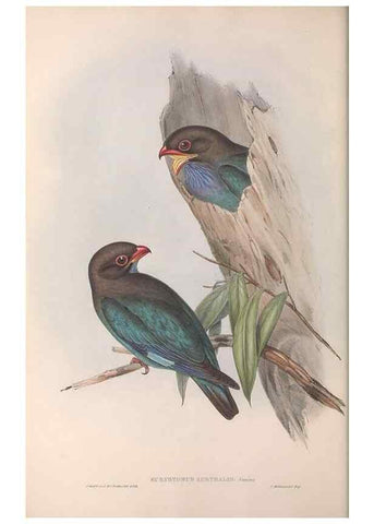 Reproducción/Reproduction 36780374452: The birds of Australia.. London,Printed by R. and J. E. Taylor; pub. by the author,[1840]-48.