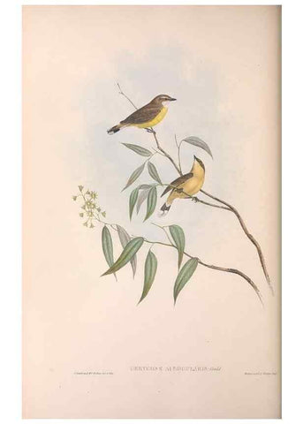 Reproducción/Reproduction 36143145413: The birds of Australia.. London,Printed by R. and J. E. Taylor; pub. by the author,[1840]-48.