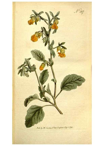 Reproducción/Reproduction 35168492045: The Botanical magazine, or, Flower-garden displayed ... /. [S.l. :s.n.],1790-1800 ;