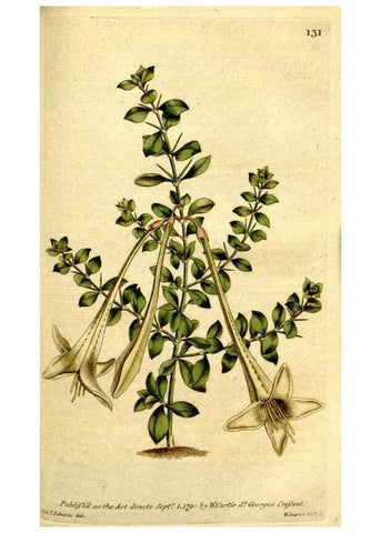 Reproducción/Reproduction 34781259990: The Botanical magazine, or, Flower-garden displayed ... /. [S.l. :s.n.],1790-1800 ;