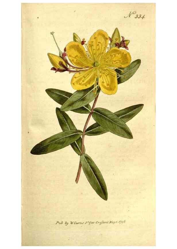 Reproducción/Reproduction 35003500872: The Botanical magazine, or, Flower-garden displayed ... /. [S.l. :s.n.],1790-1800 ;