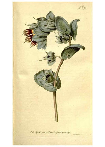 Reproducción/Reproduction 35168553985: The Botanical magazine, or, Flower-garden displayed ... /. [S.l. :s.n.],1790-1800 ;