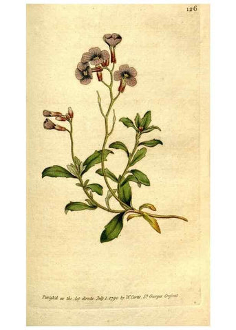 Reproducción/Reproduction 35002616092: The Botanical magazine, or, Flower-garden displayed ... /. [S.l. :s.n.],1790-1800 ;