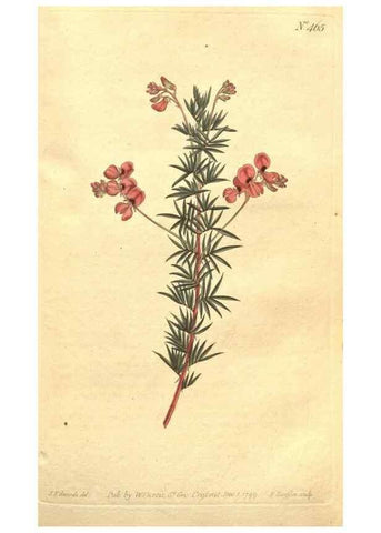 Reproducción/Reproduction 34782676970: The Botanical magazine, or, Flower-garden displayed ... /. [S.l. :s.n.],1790-1800 ;