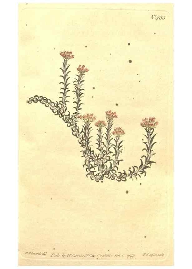 Reproducción/Reproduction 35169144165: The Botanical magazine, or, Flower-garden displayed ... /. [S.l. :s.n.],1790-1800 ;