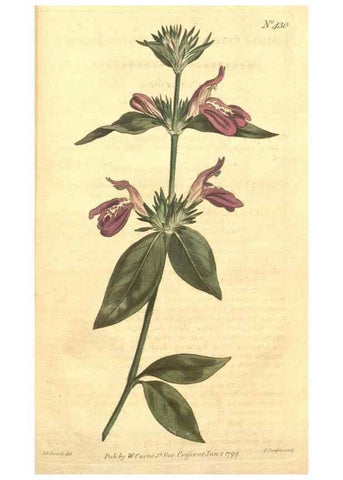 Reproducción/Reproduction 34359325373: The Botanical magazine, or, Flower-garden displayed ... /. [S.l. :s.n.],1790-1800 ;