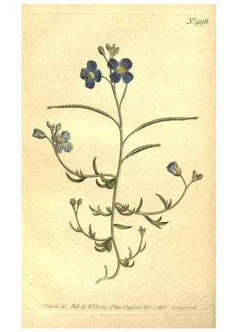 Reproducción/Reproduction 35038492831: The Botanical magazine, or, Flower-garden displayed ... /. [S.l. :s.n.],1790-1800 ;
