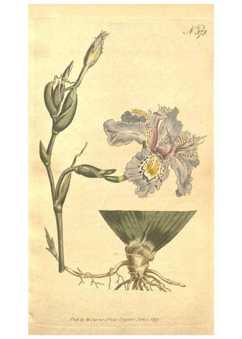 Reproducción/Reproduction 35038151601: The Botanical magazine, or, Flower-garden displayed ... /. [S.l. :s.n.],1790-1800 ;