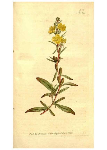 Reproducción/Reproduction 34323569514: The Botanical magazine, or, Flower-garden displayed ... /. [S.l. :s.n.],1790-1800 ;