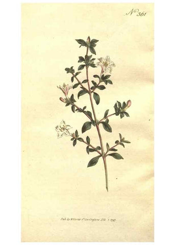 Reproducción/Reproduction 35128884796: The Botanical magazine, or, Flower-garden displayed ... /. [S.l. :s.n.],1790-1800 ;