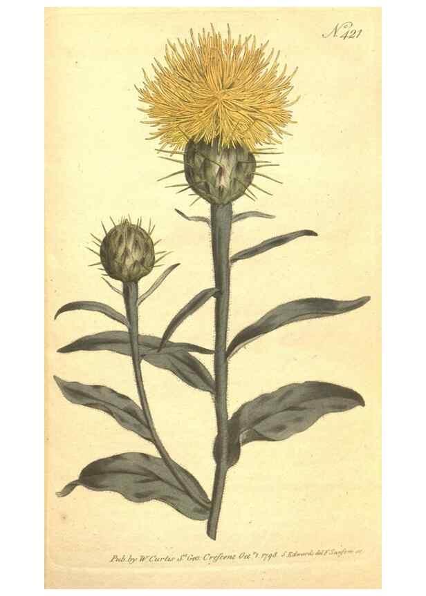Reproducción/Reproduction 34782449350: The Botanical magazine, or, Flower-garden displayed ... /. [S.l. :s.n.],1790-1800 ;