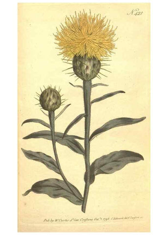 Reproducción/Reproduction 34782449350: The Botanical magazine, or, Flower-garden displayed ... /. [S.l. :s.n.],1790-1800 ;