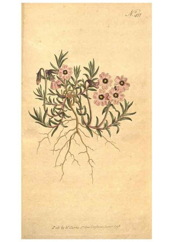 Reproducción/Reproduction 35129056716: The Botanical magazine, or, Flower-garden displayed ... /. [S.l. :s.n.],1790-1800 ;