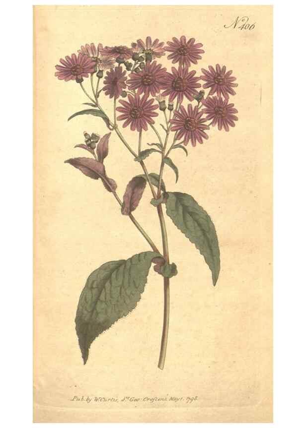 Reproducción/Reproduction 34359265813: The Botanical magazine, or, Flower-garden displayed ... /. [S.l. :s.n.],1790-1800 ;