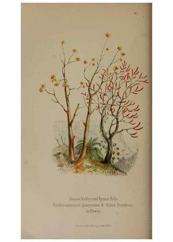 Reproducción/Reproduction 33042243722: Himalayan journals;. London,J. Murray,1854.
