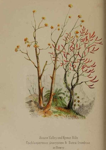Reproducción/Reproduction 33042243722: Himalayan journals;. London,J. Murray,1854.