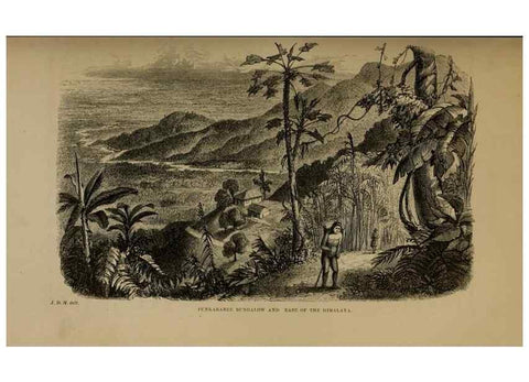 Reproducción/Reproduction 33042245302: Himalayan journals;. London,J. Murray,1854.