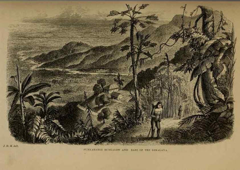 Reproducción/Reproduction 33042245302: Himalayan journals;. London,J. Murray,1854.