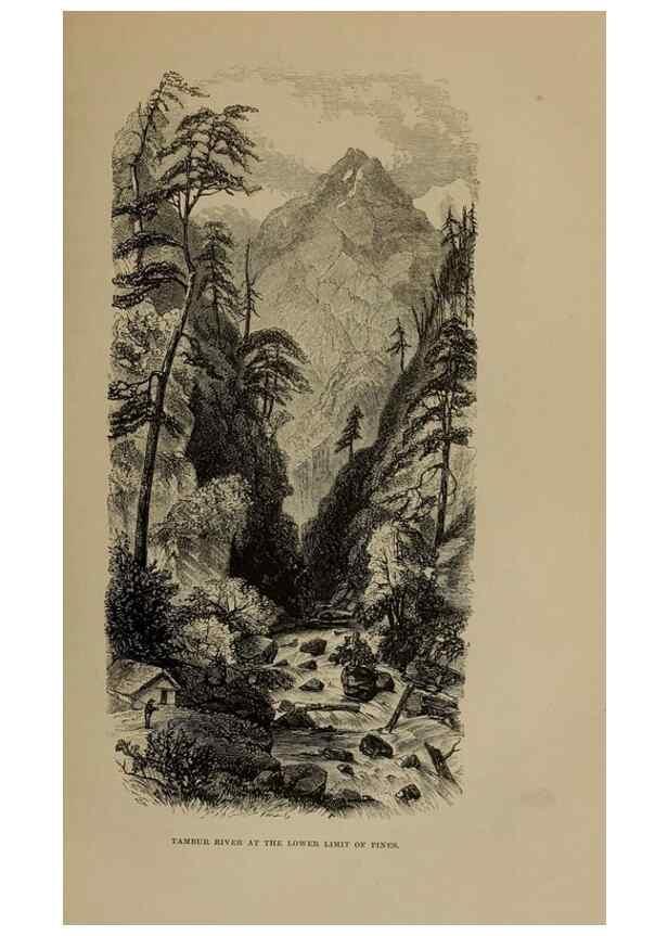 Reproducción/Reproduction 33042248192: Himalayan journals;. London,J. Murray,1854.