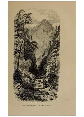 Reproducción/Reproduction 33042248192: Himalayan journals;. London,J. Murray,1854.