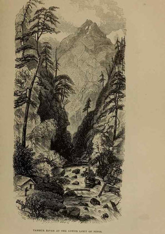 Reproducción/Reproduction 33042248192: Himalayan journals;. London,J. Murray,1854.