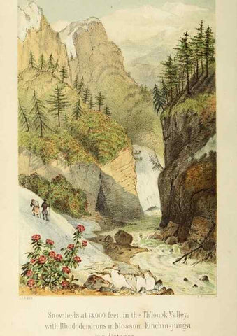 Reproducción/Reproduction 33071609231: Himalayan journals;. London,J. Murray,1854.