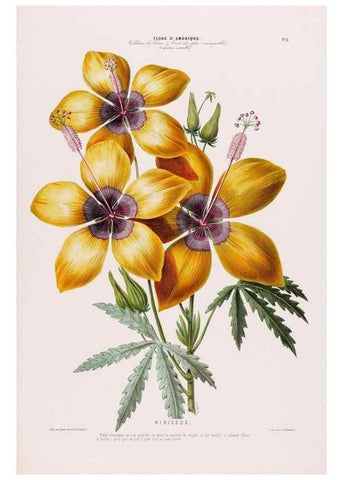 Reproducción/Reproduction 34656837756: Flore d'Amérique,. Paris,Gihaut[1843-1846]