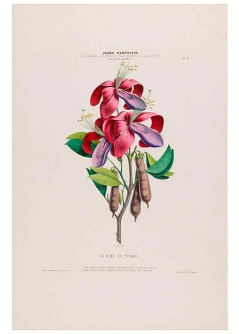Reproducción/Reproduction 34535495702: Flore d'Amérique,. Paris,Gihaut[1843-1846]