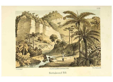 Reproducción/Reproduction 33071618721: Himalayan journals;. London,J. Murray,1854.